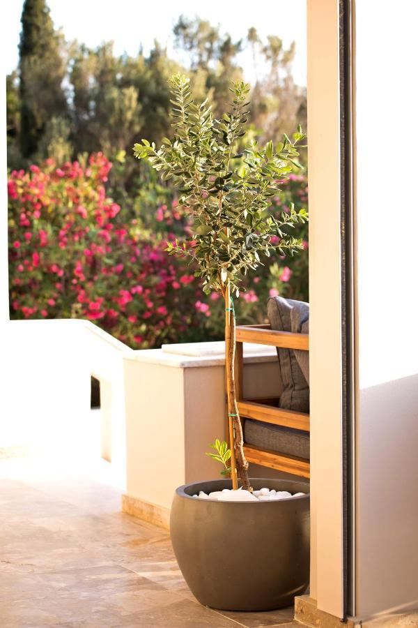 Horizon Hotel Kalymnos Myrties Exterior foto